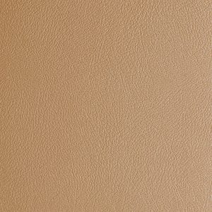 G-Floor Levant Sandstone