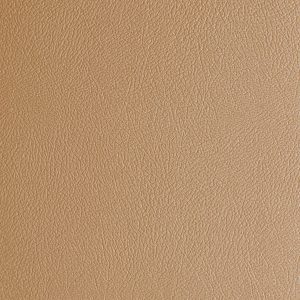 G-Floor Levant Sandstone